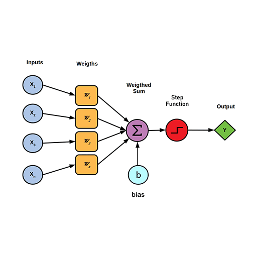 perceptron